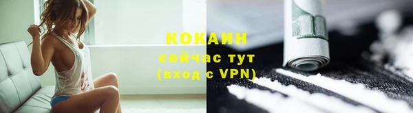 СК Бронницы