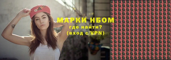 СК Бронницы