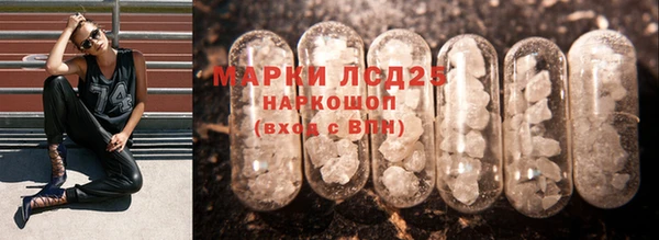 СК Бронницы