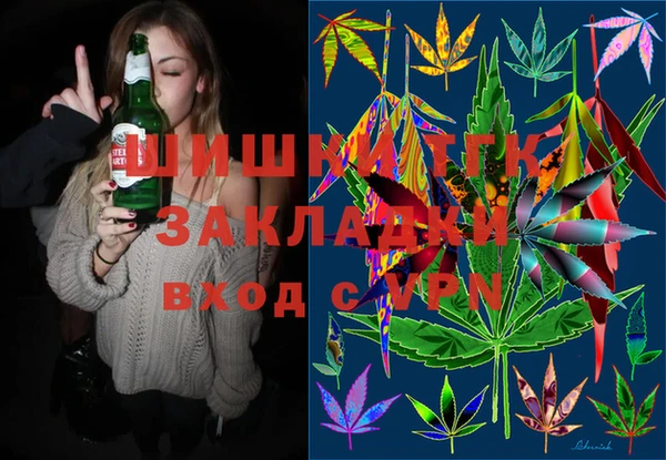 СК Бронницы