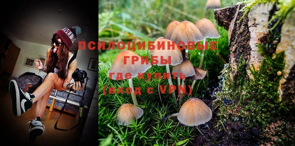 меф Бородино