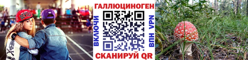 цена наркотик  Мытищи  Галлюциногенные грибы мицелий 